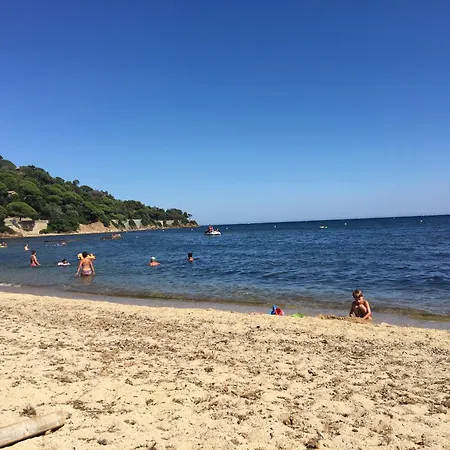 Lavande *