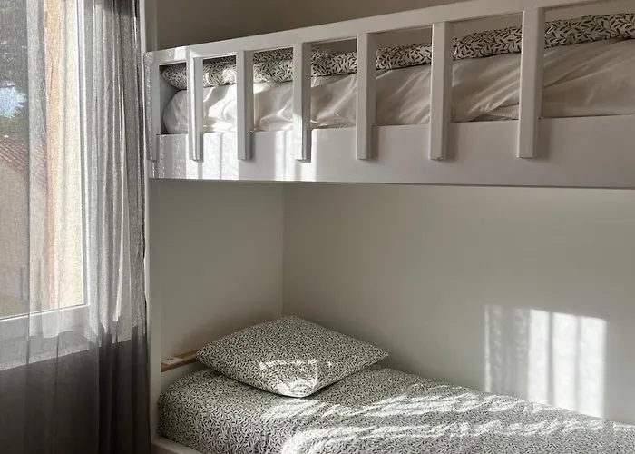 Lavande Sainte-Maxime