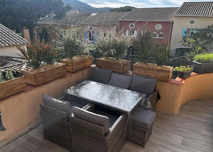 Lavande Sainte-Maxime