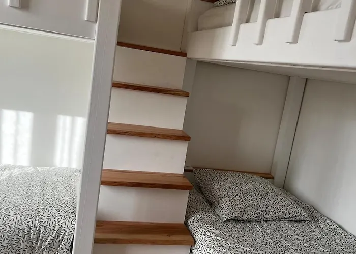 Lavande Sainte-Maxime